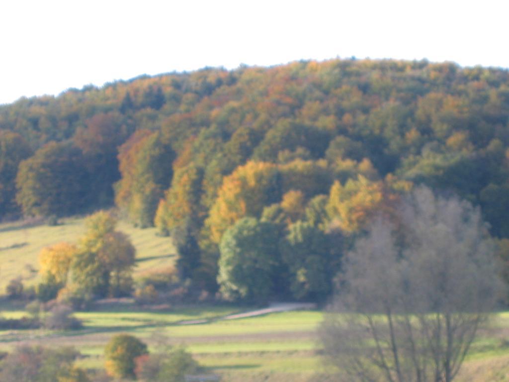 Gasthof Zum Lamm Gomadingen Exterior foto